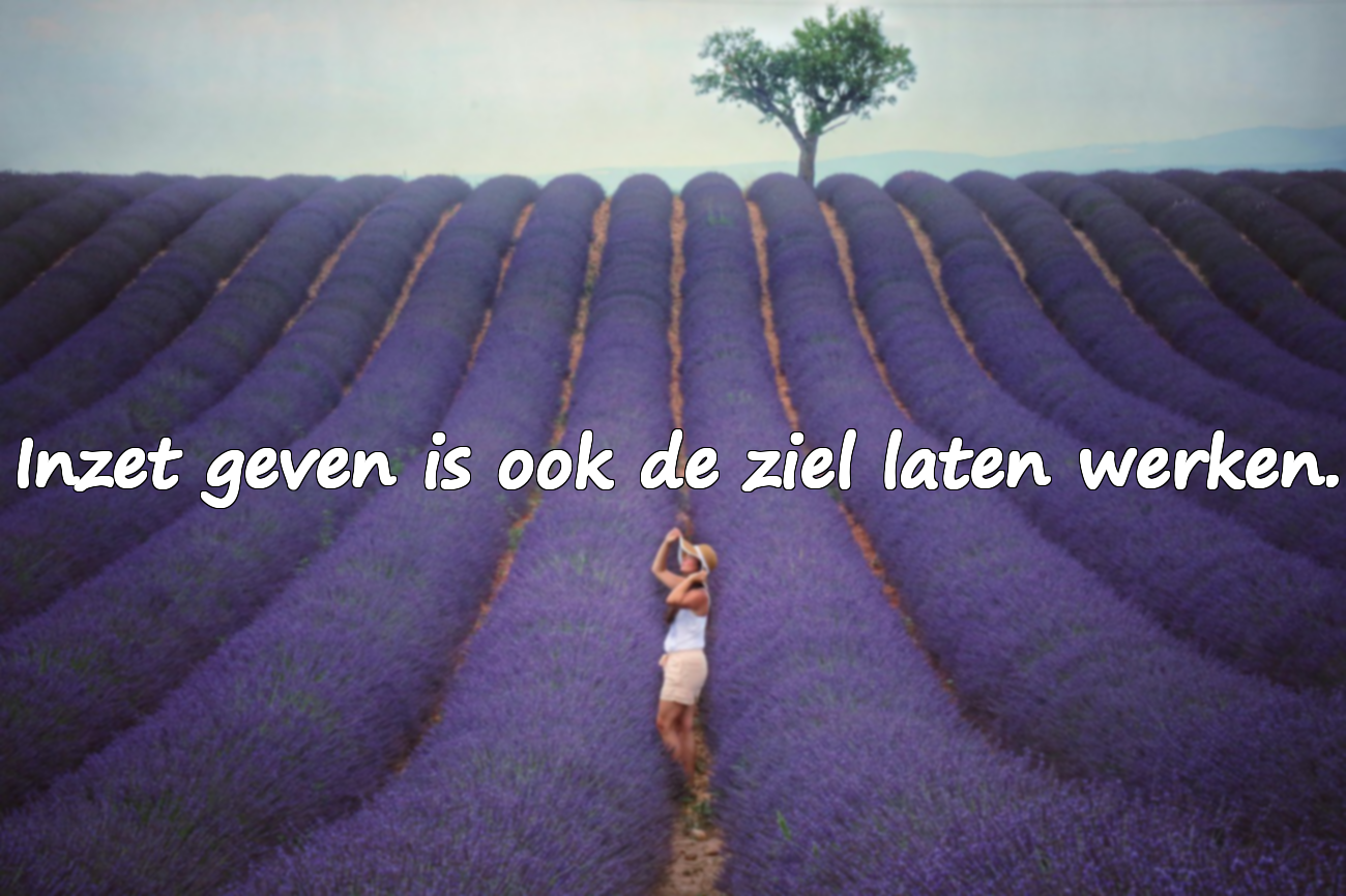 Citaten over Inzet (Arbeid)