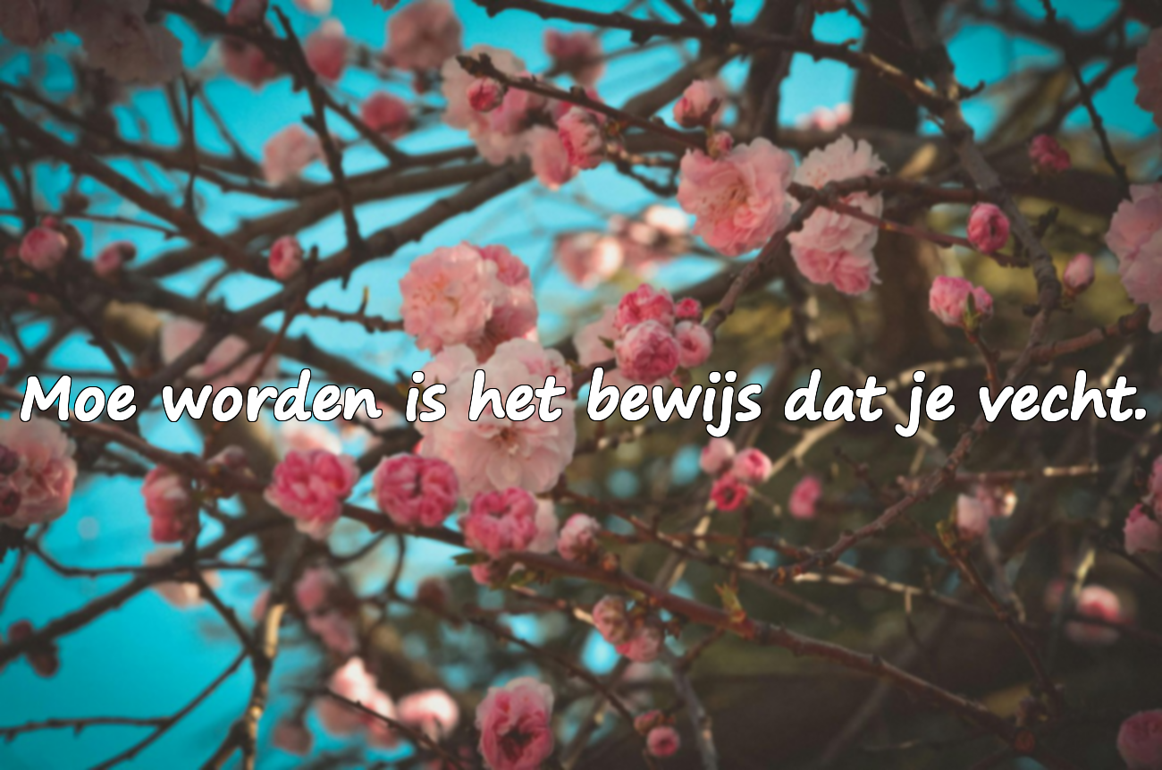Citaten over Moeheid
