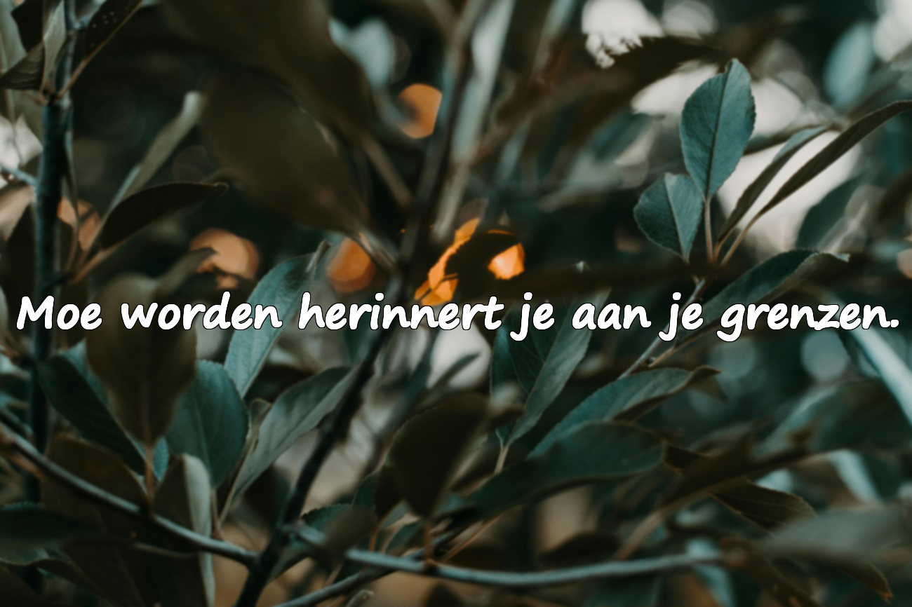 Citaten over Moeheid