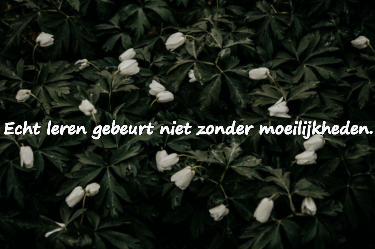 Citaten over Moeilijkheden