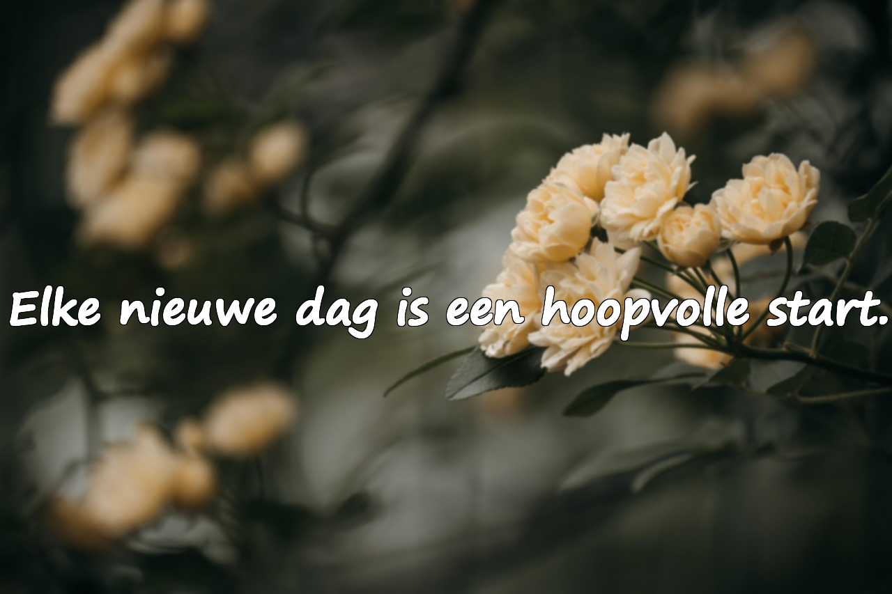 Citaten over Mooie Dagen