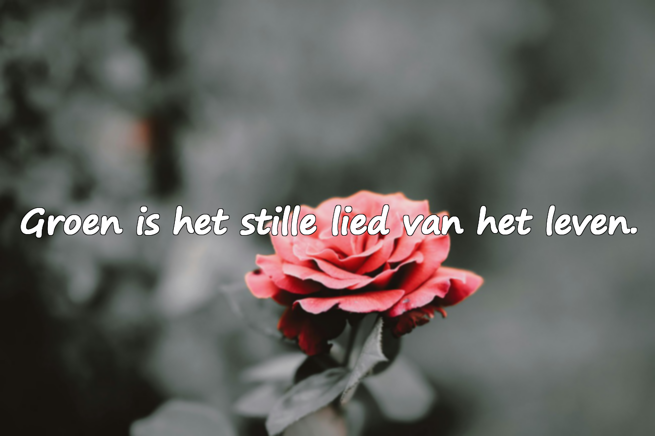 Citaten over Natuur en Groen