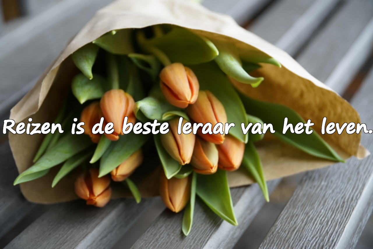 Citaten over Reizen
