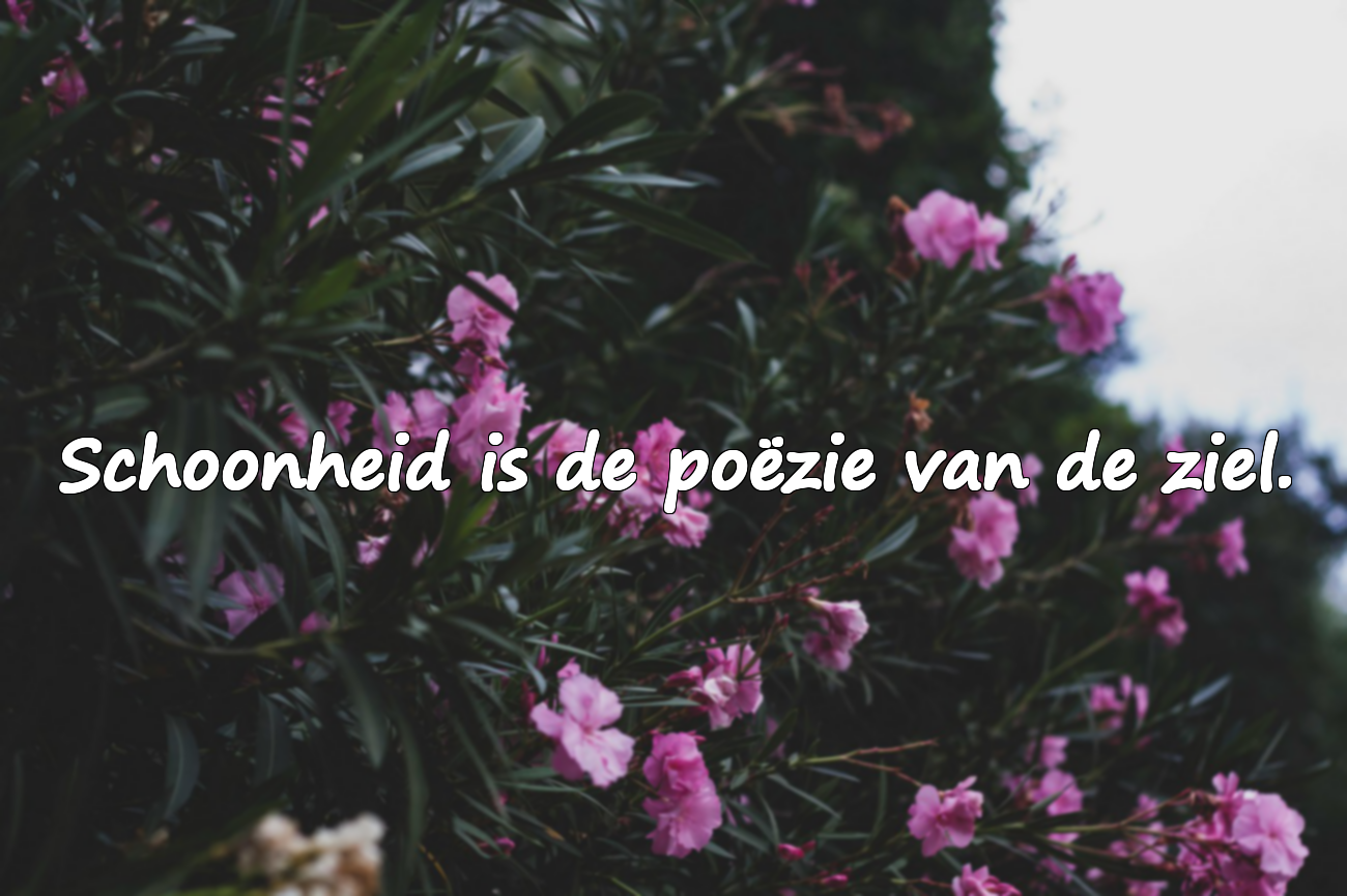 Citaten over Schoonheid