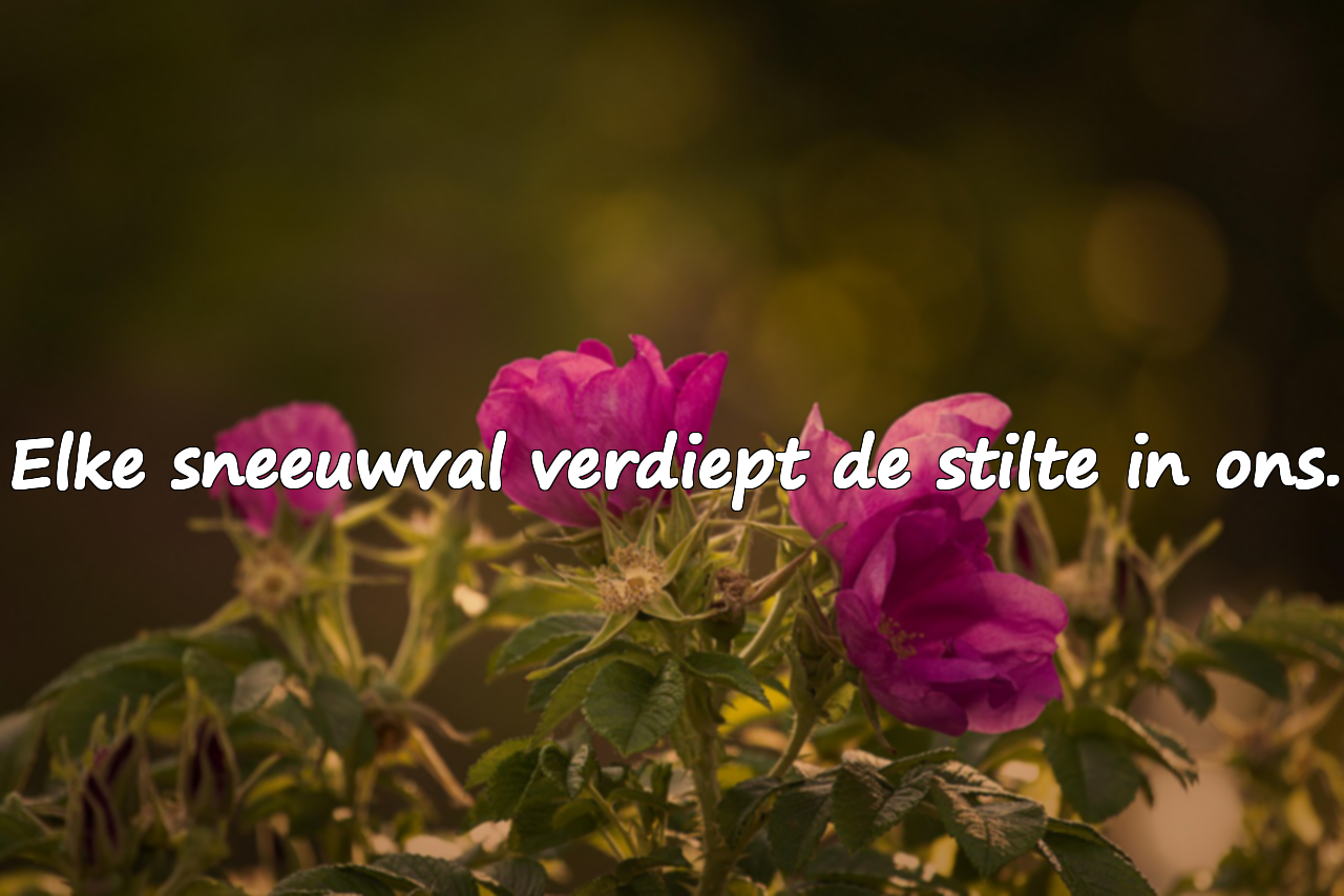 Citaten over Sneeuw