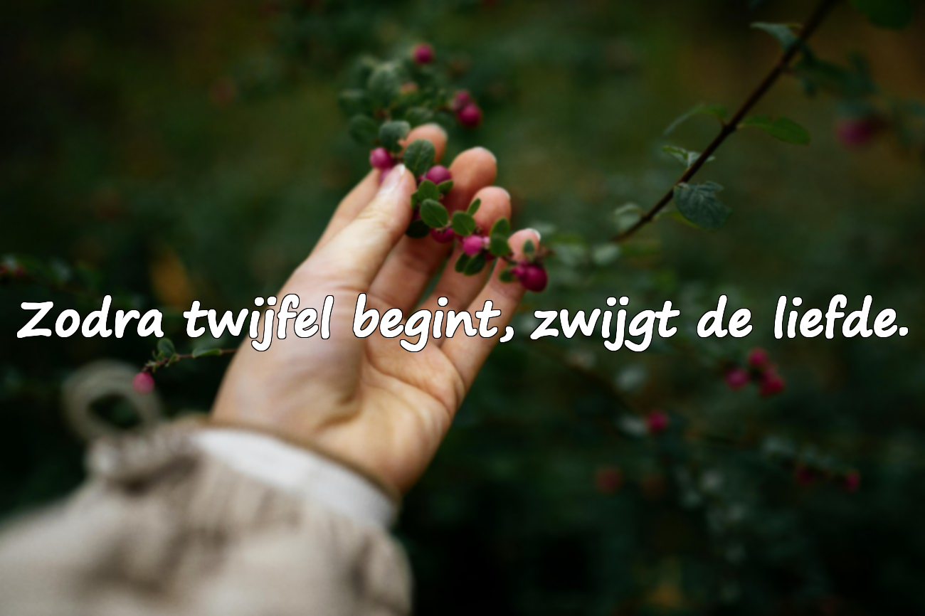 Citaten over Wantrouwen