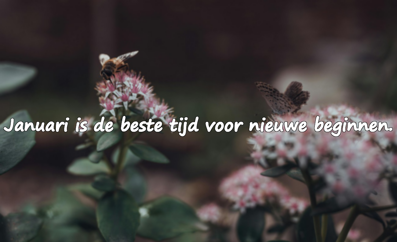 Citaten over de maand januari