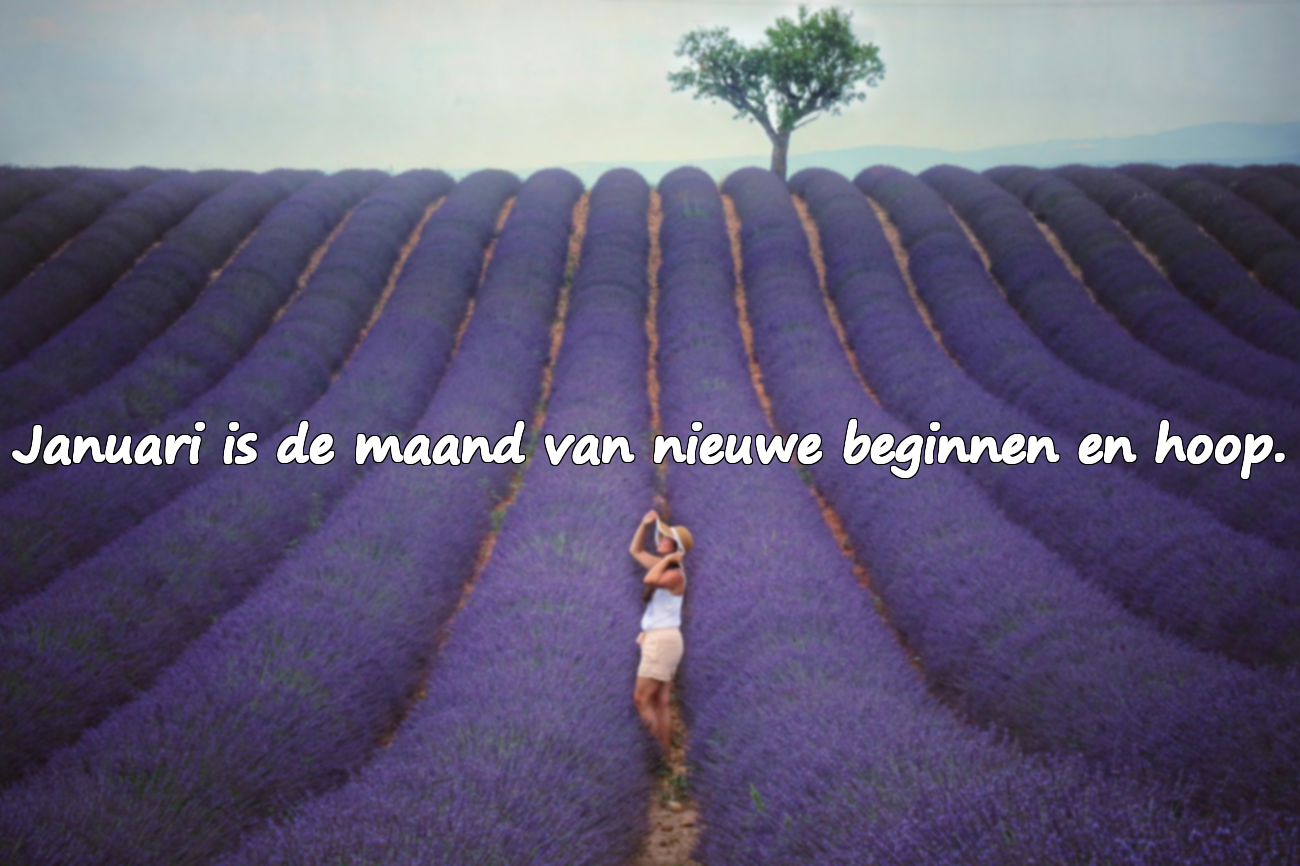 Citaten over de maand januari