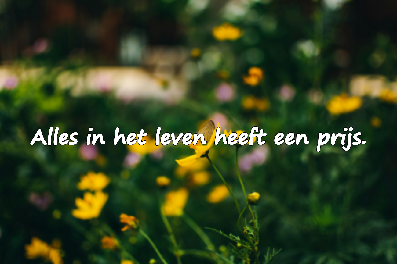 Citaten over de prijs die je moet betalen
