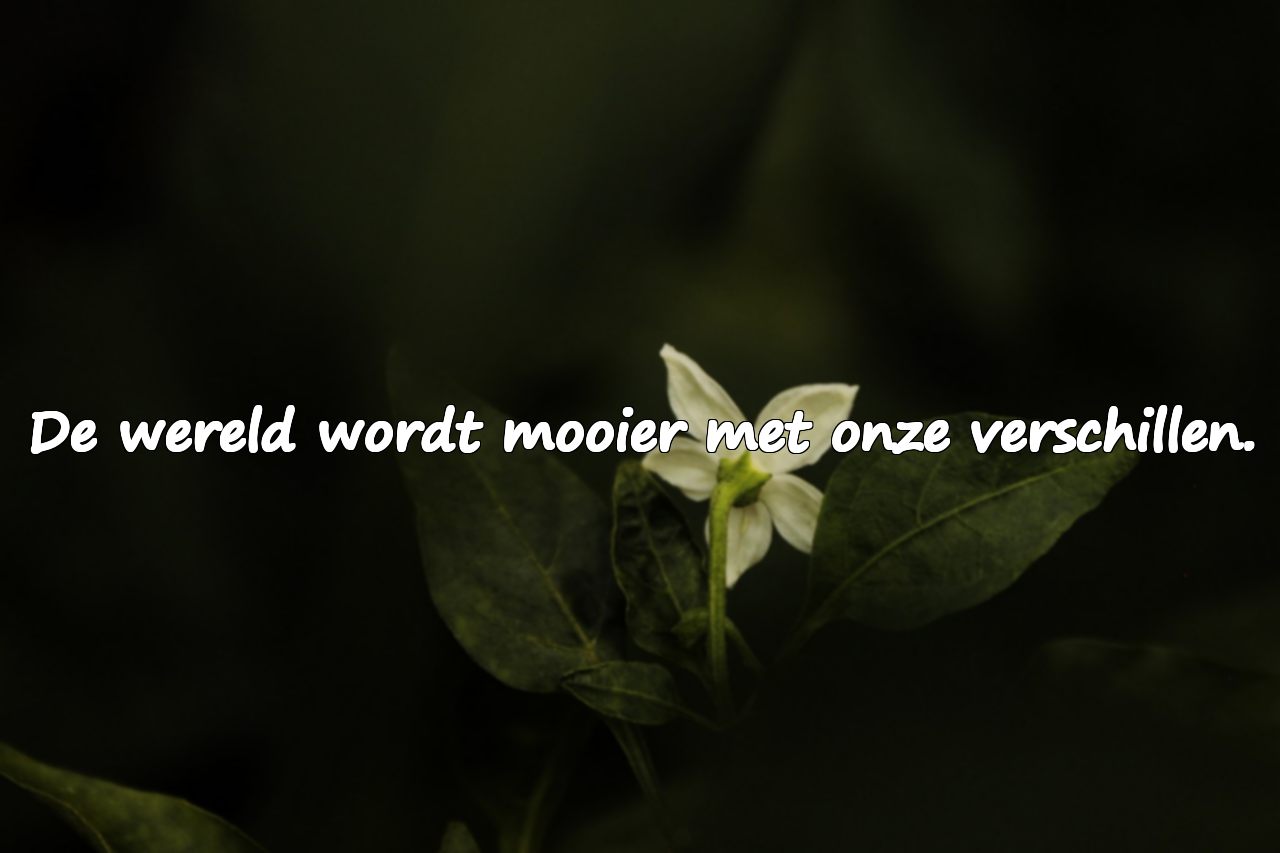Citaten over de wereld