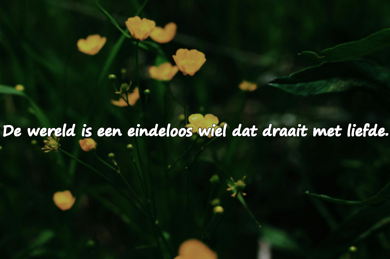 Citaten over de wereld