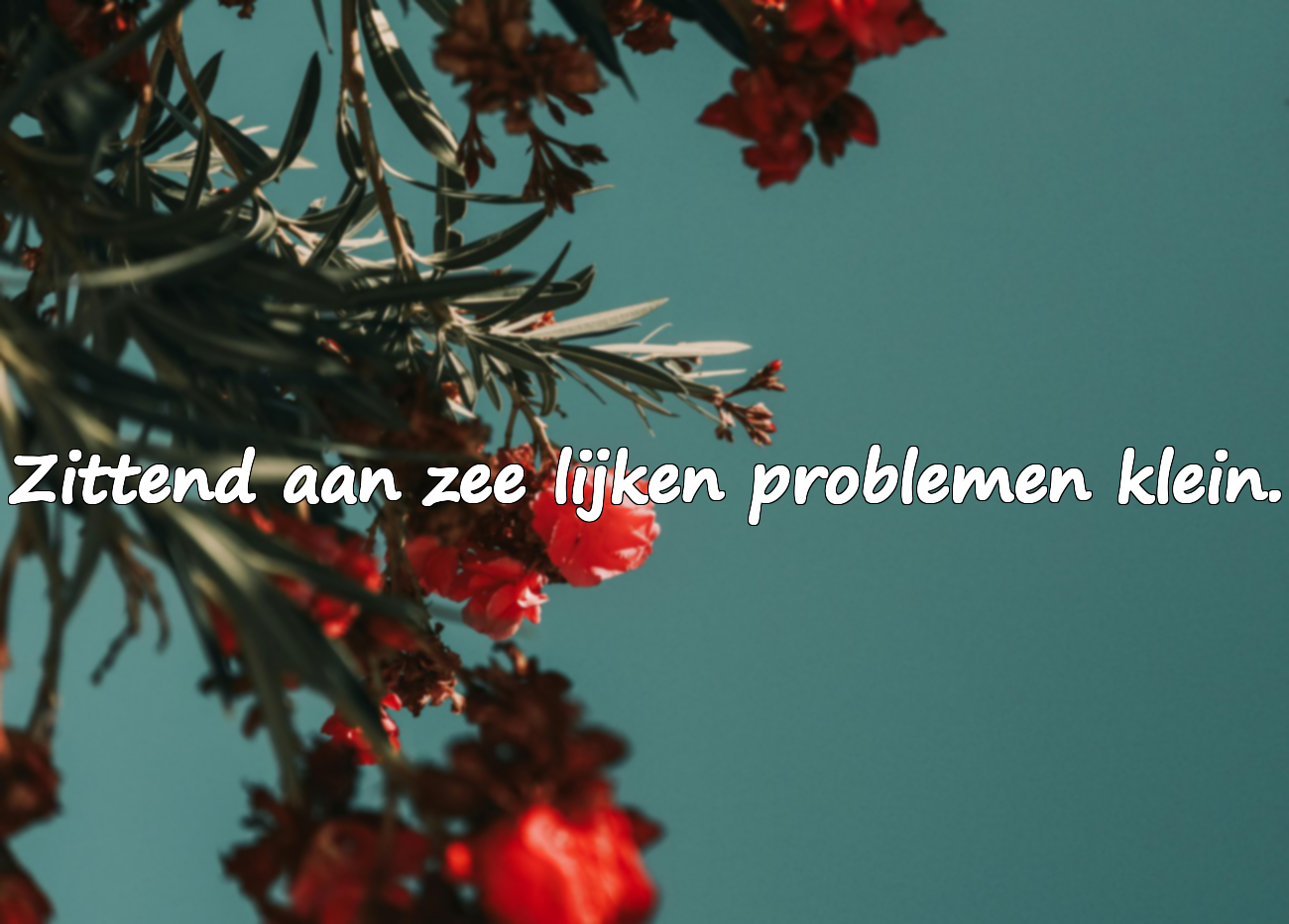 Citaten over de zee