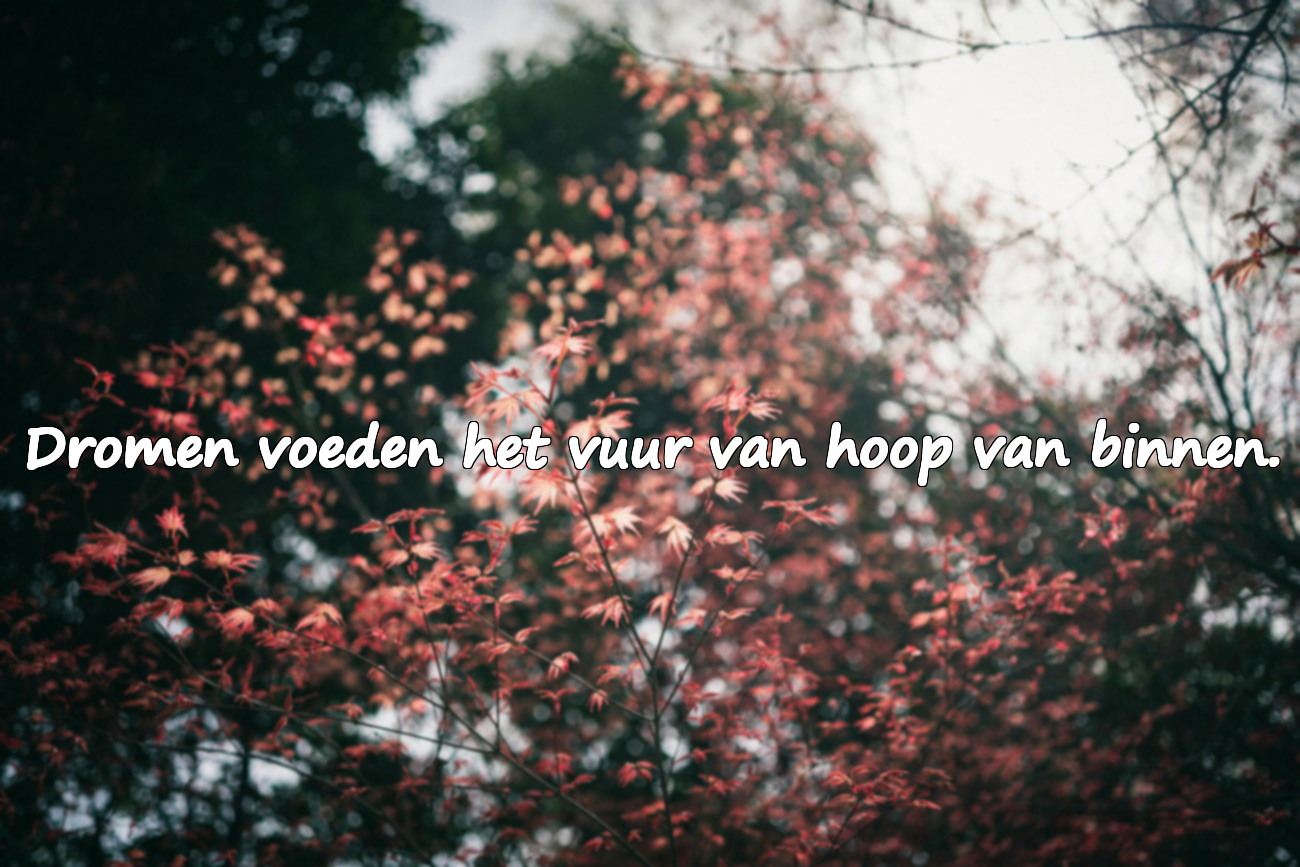Citaten over dromen