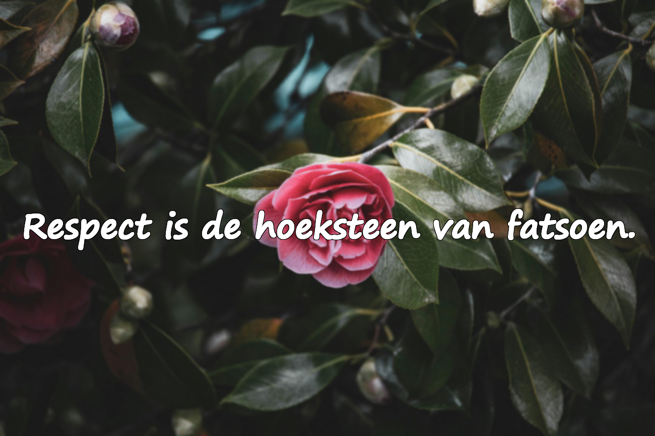 Citaten over fatsoen en beleefdheid