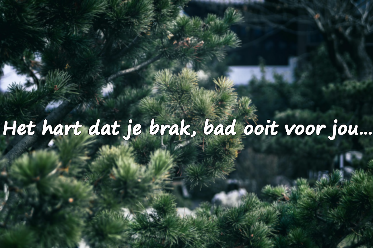 Citaten over gebroken harten