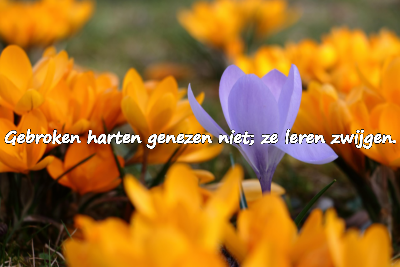 Citaten over gebroken harten