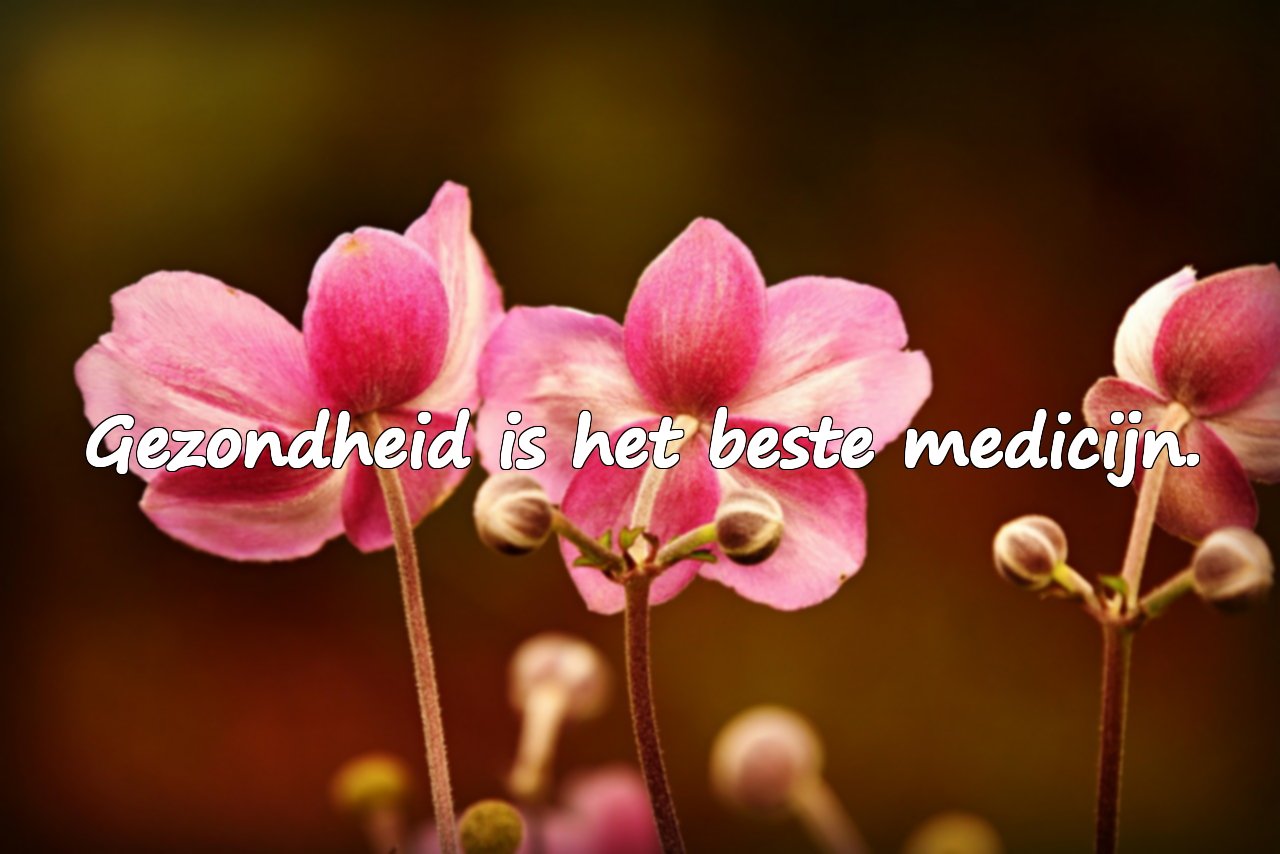Citaten over gezondheid
