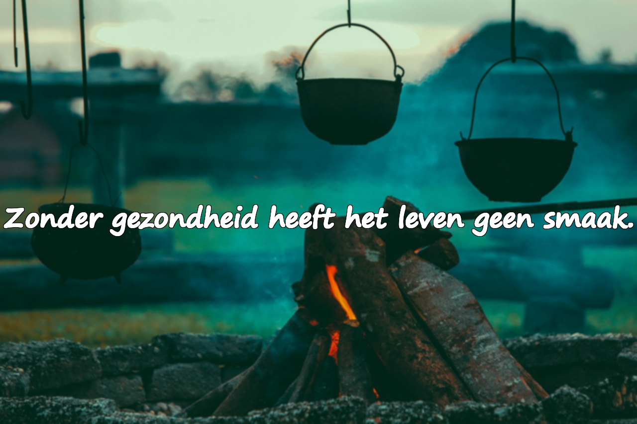 Citaten over gezondheid