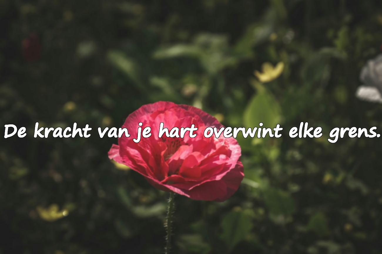 Citaten over handicap