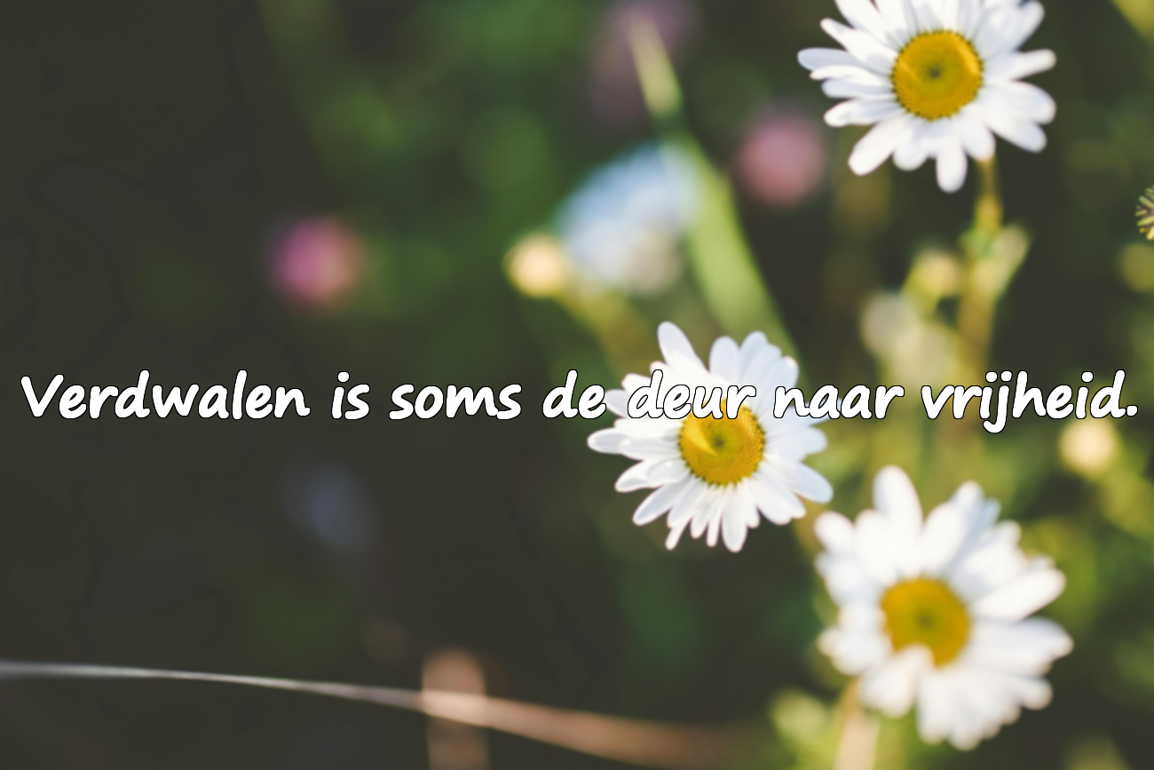 Citaten over het Verdwalen