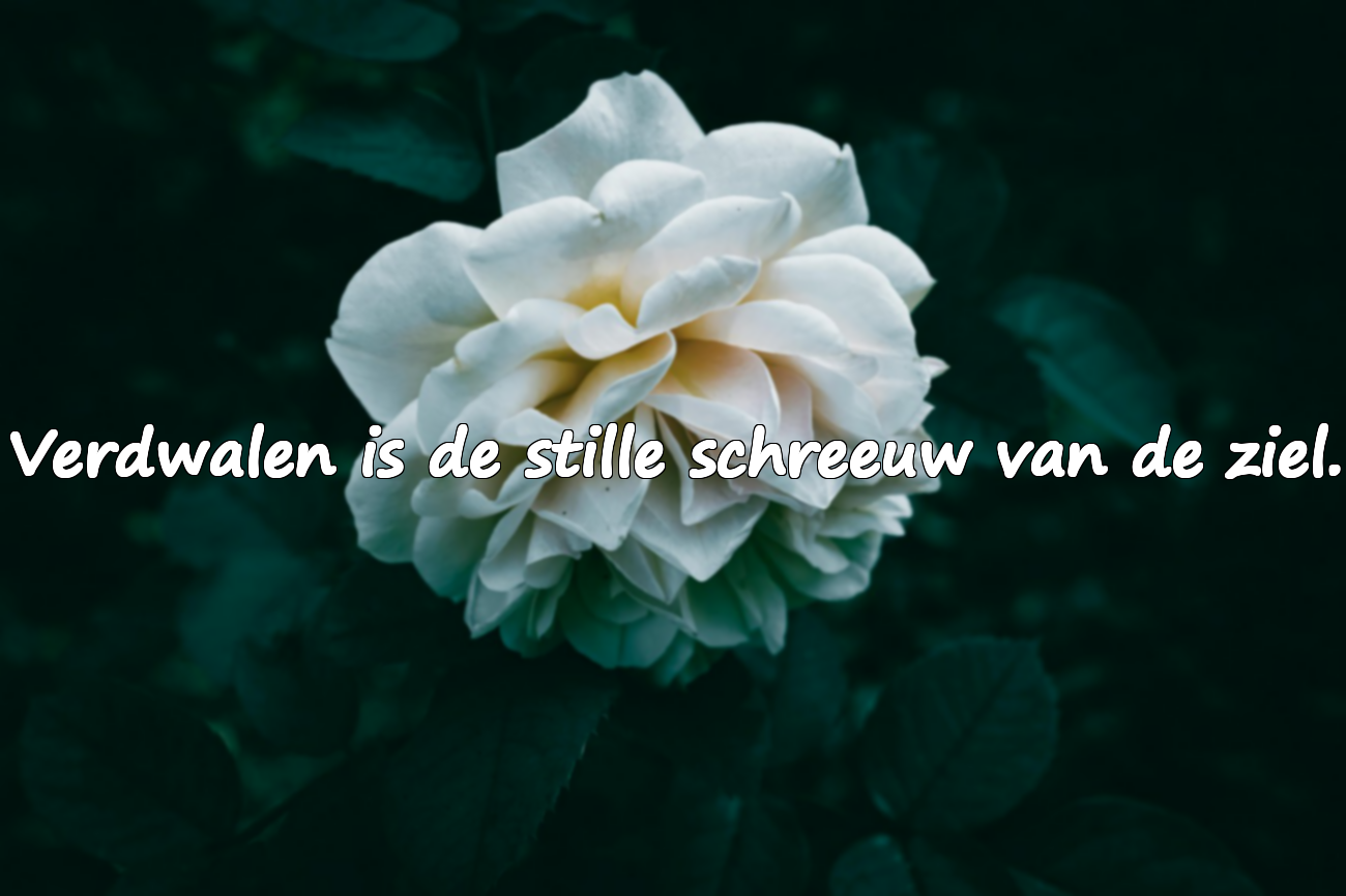 Citaten over het Verdwalen