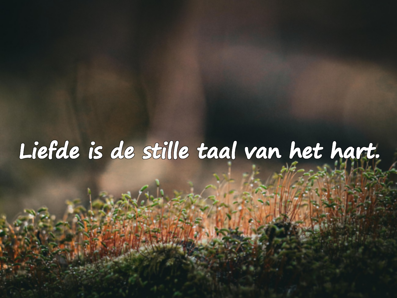 Citaten over het hart