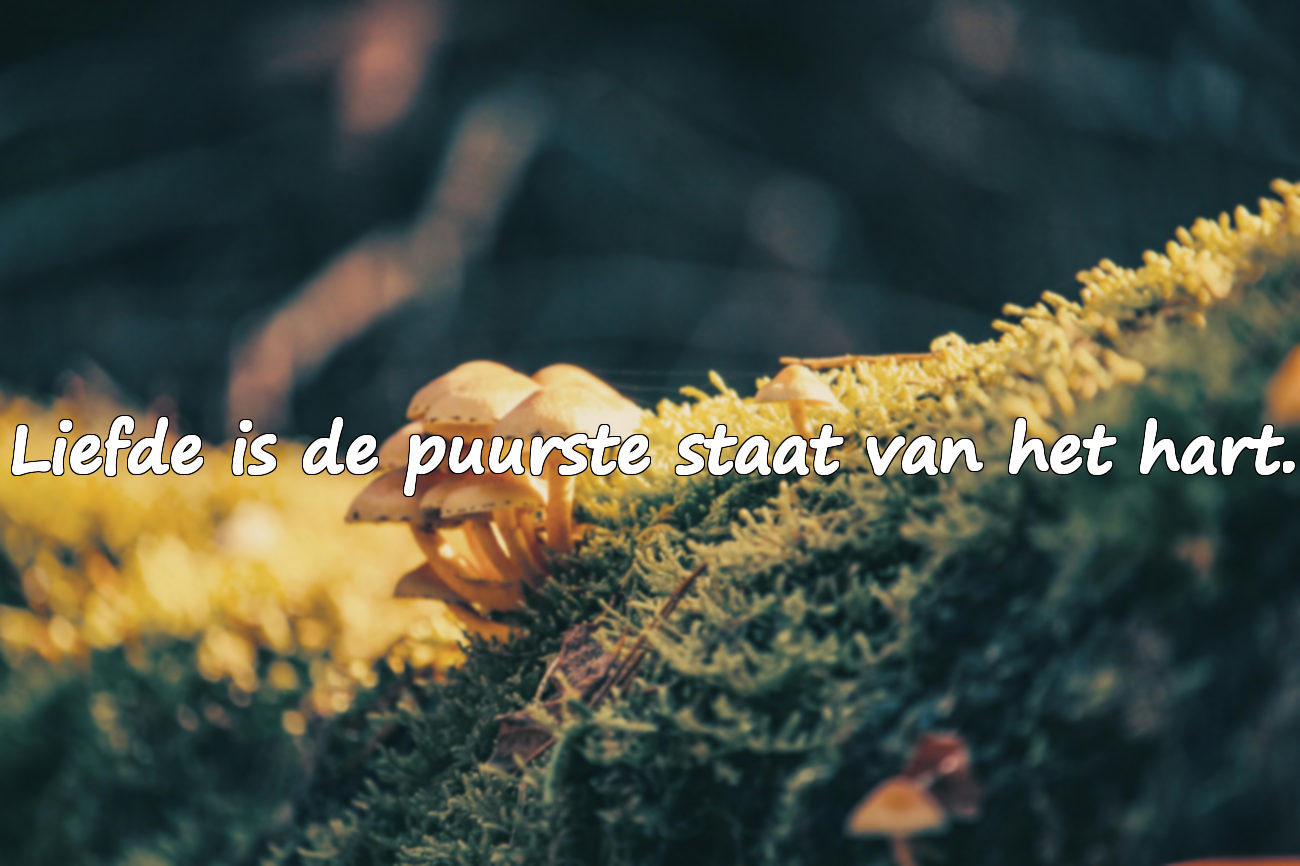 Citaten over het hart