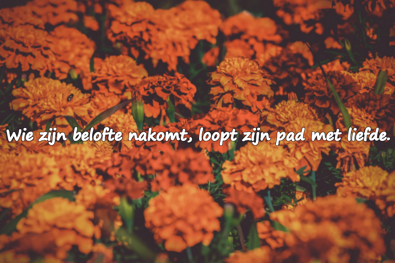 Citaten over het nakomen van beloftes