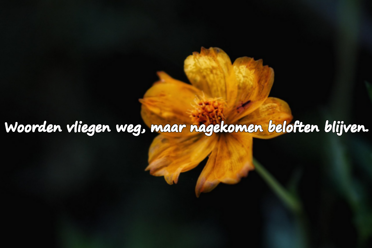 Citaten over het nakomen van beloftes