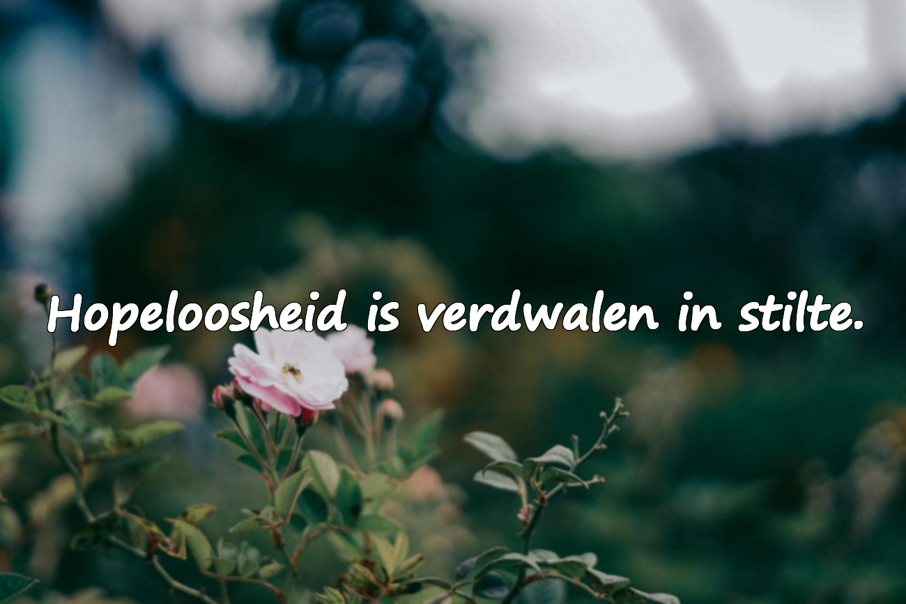 Citaten over hopeloosheid