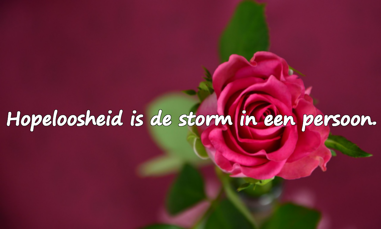 Citaten over hopeloosheid
