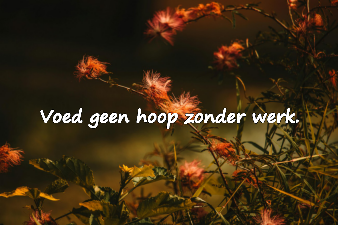Citaten over inspanning
