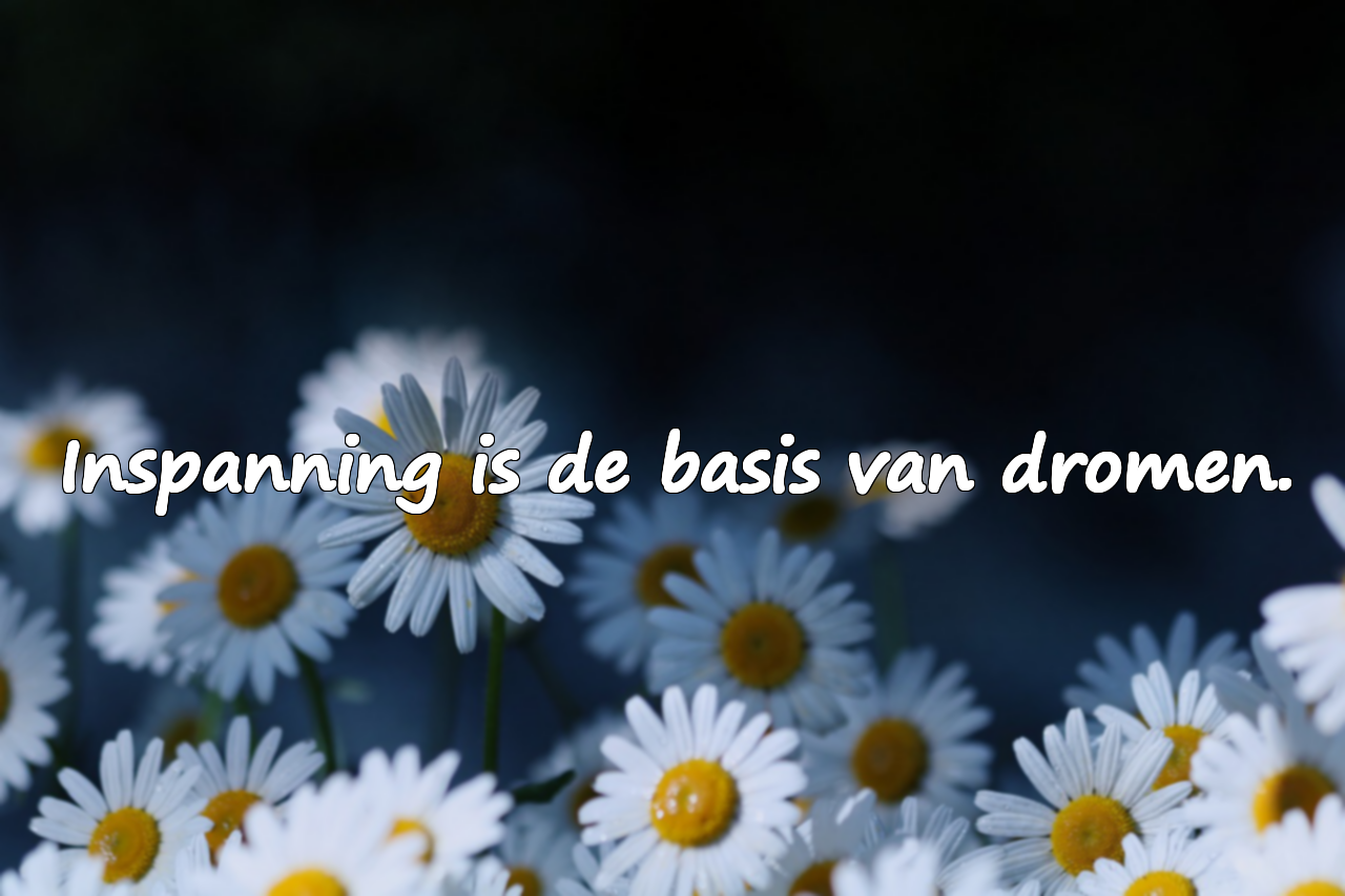Citaten over inspanning