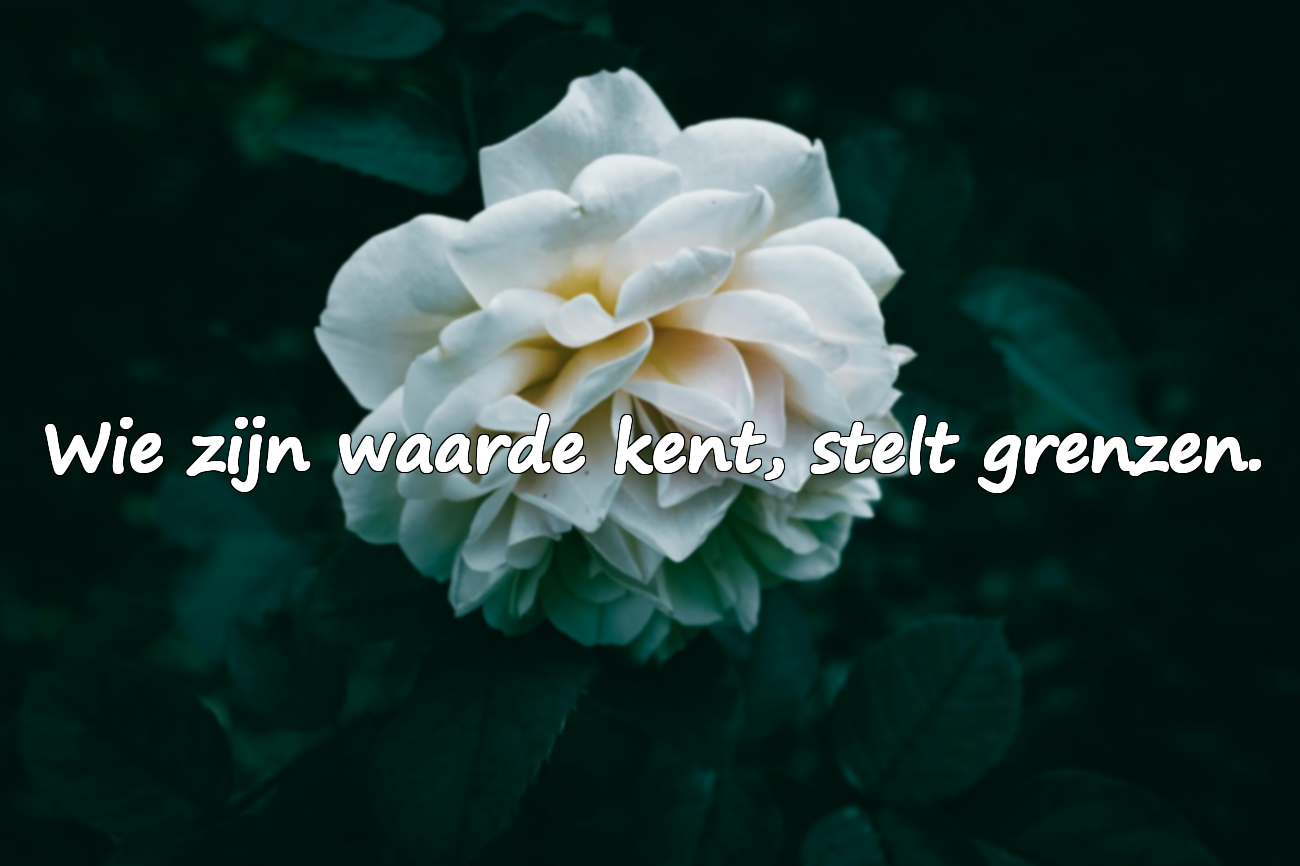 Citaten over jezelf beschermen tegen mensen om je heen