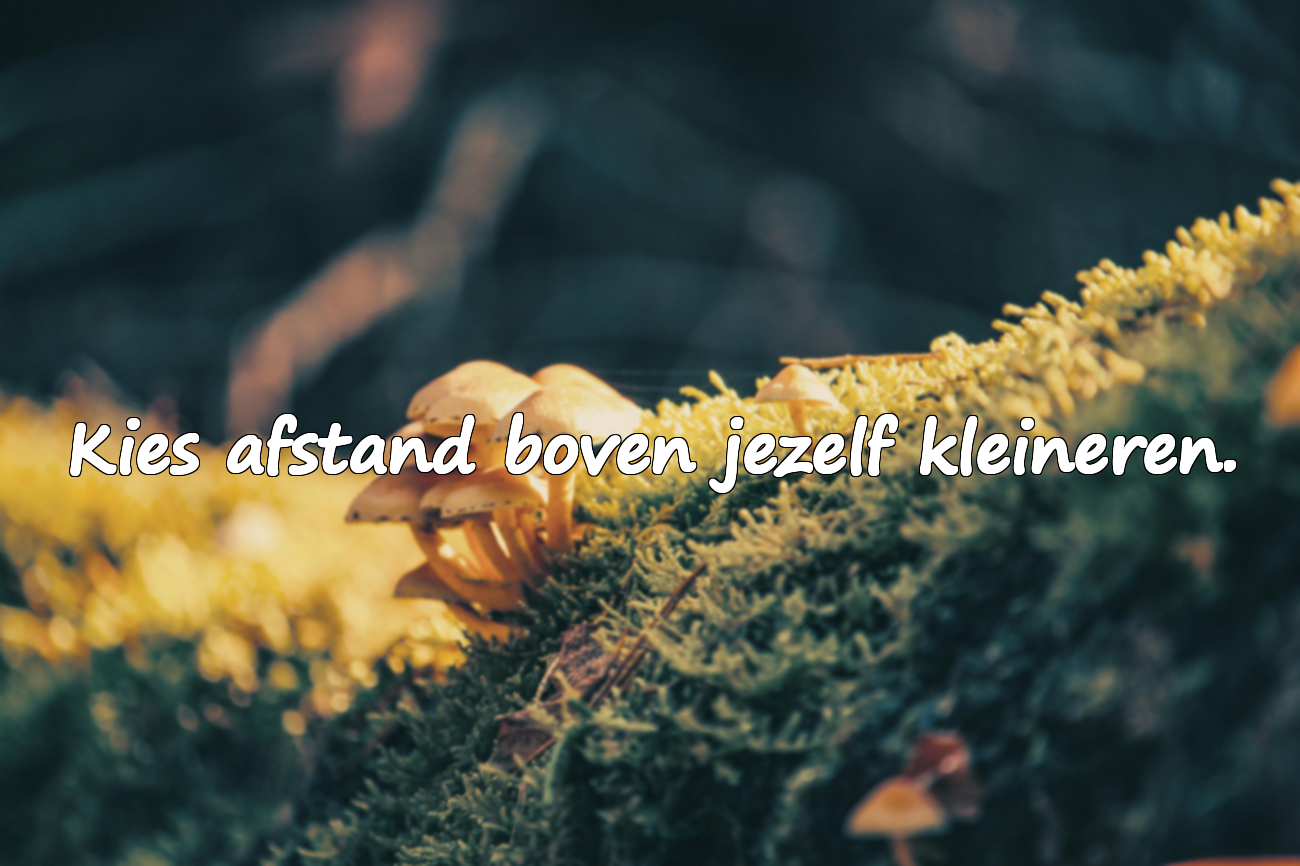 Citaten over jezelf beschermen tegen mensen om je heen