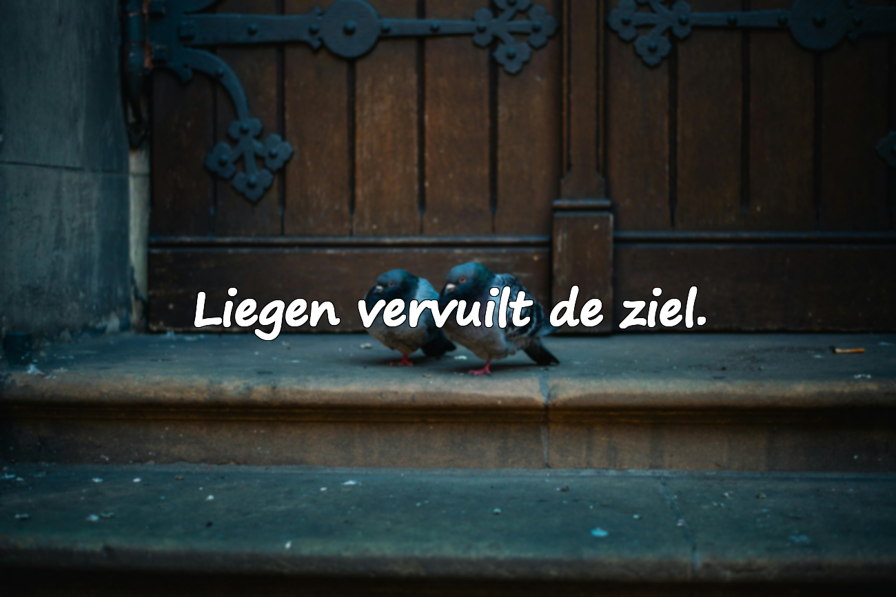 Citaten over leugens