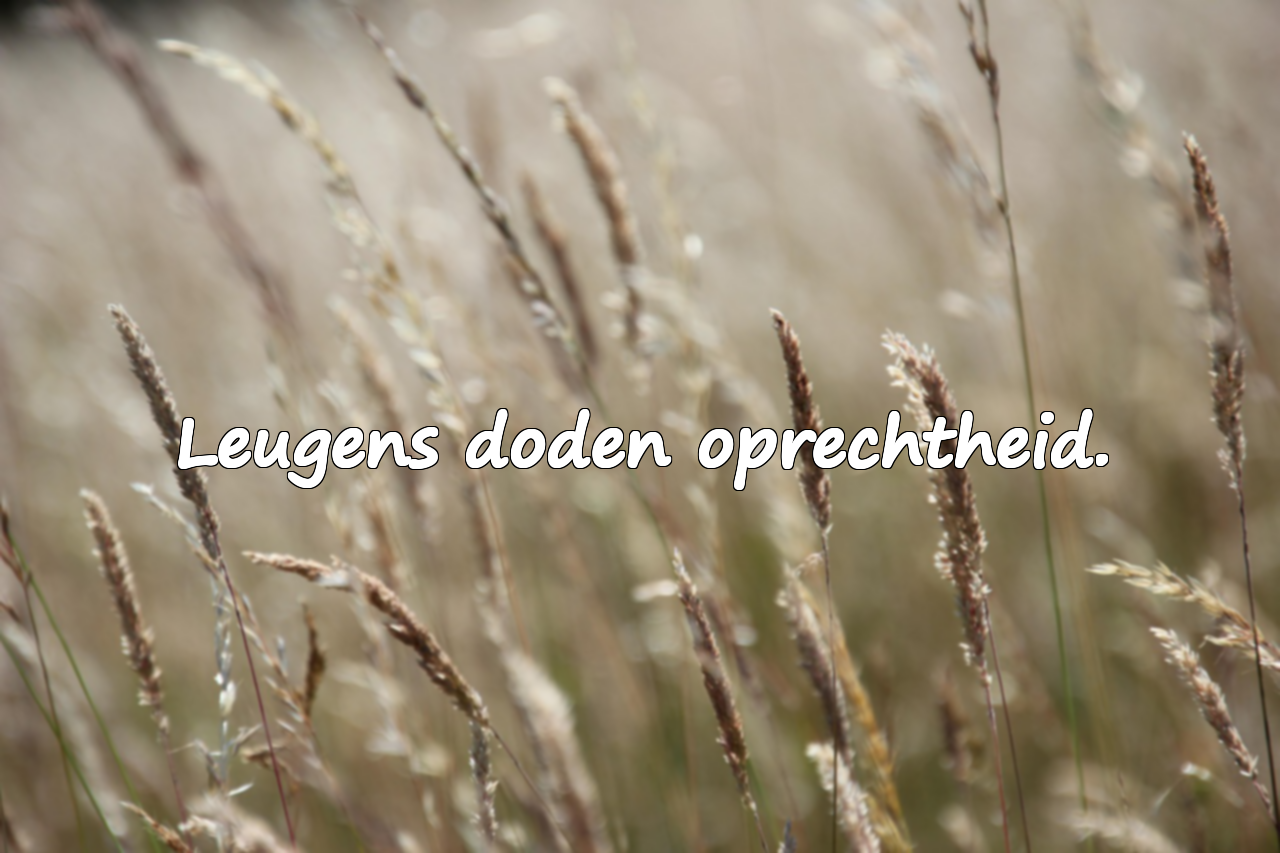 Citaten over leugens