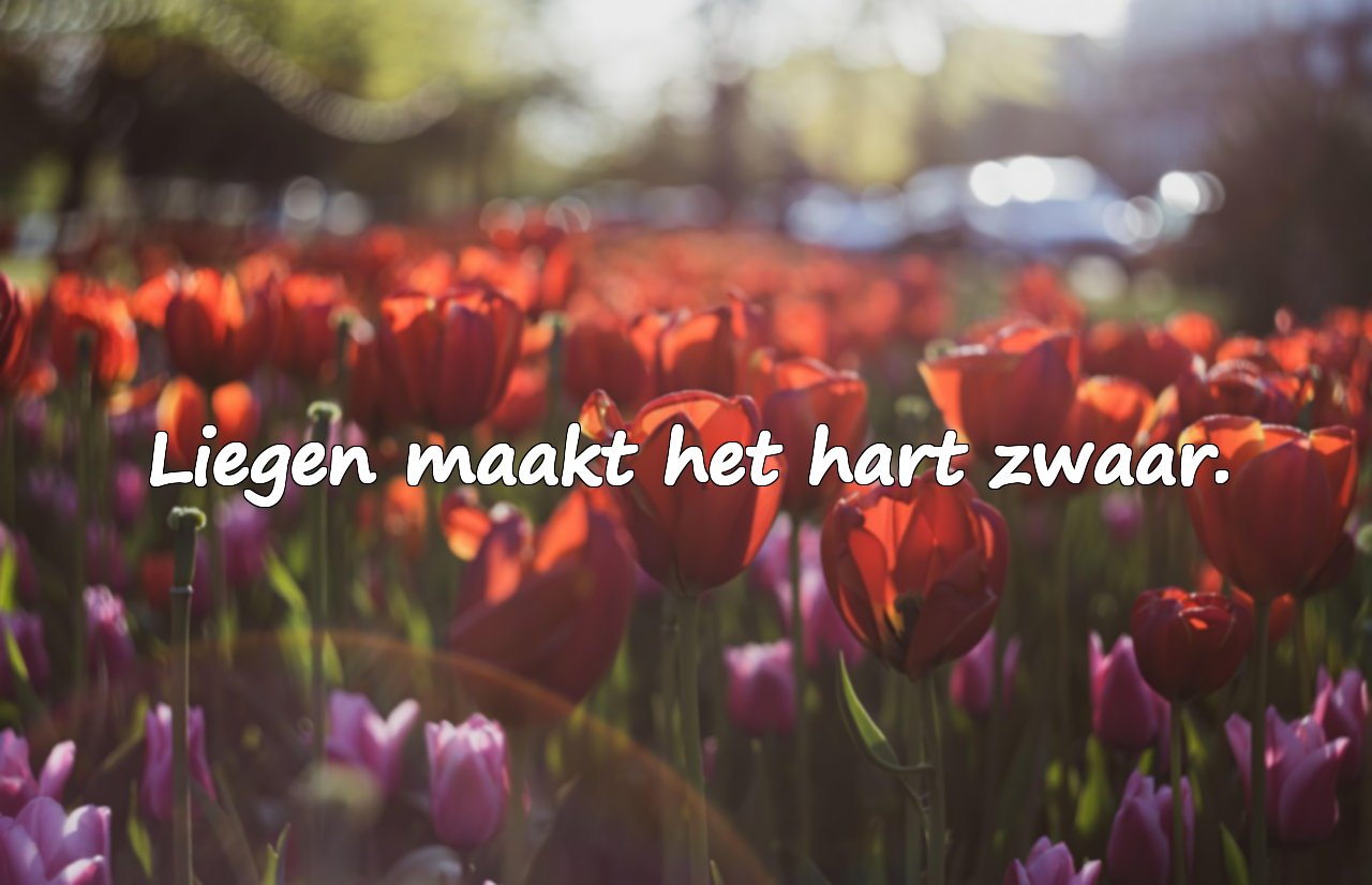 Citaten over leugens