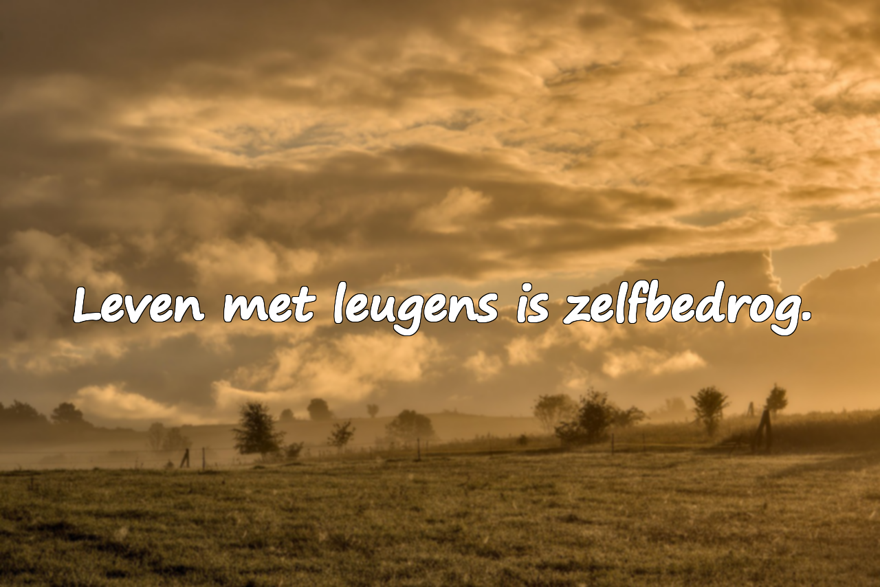 Citaten over leugens