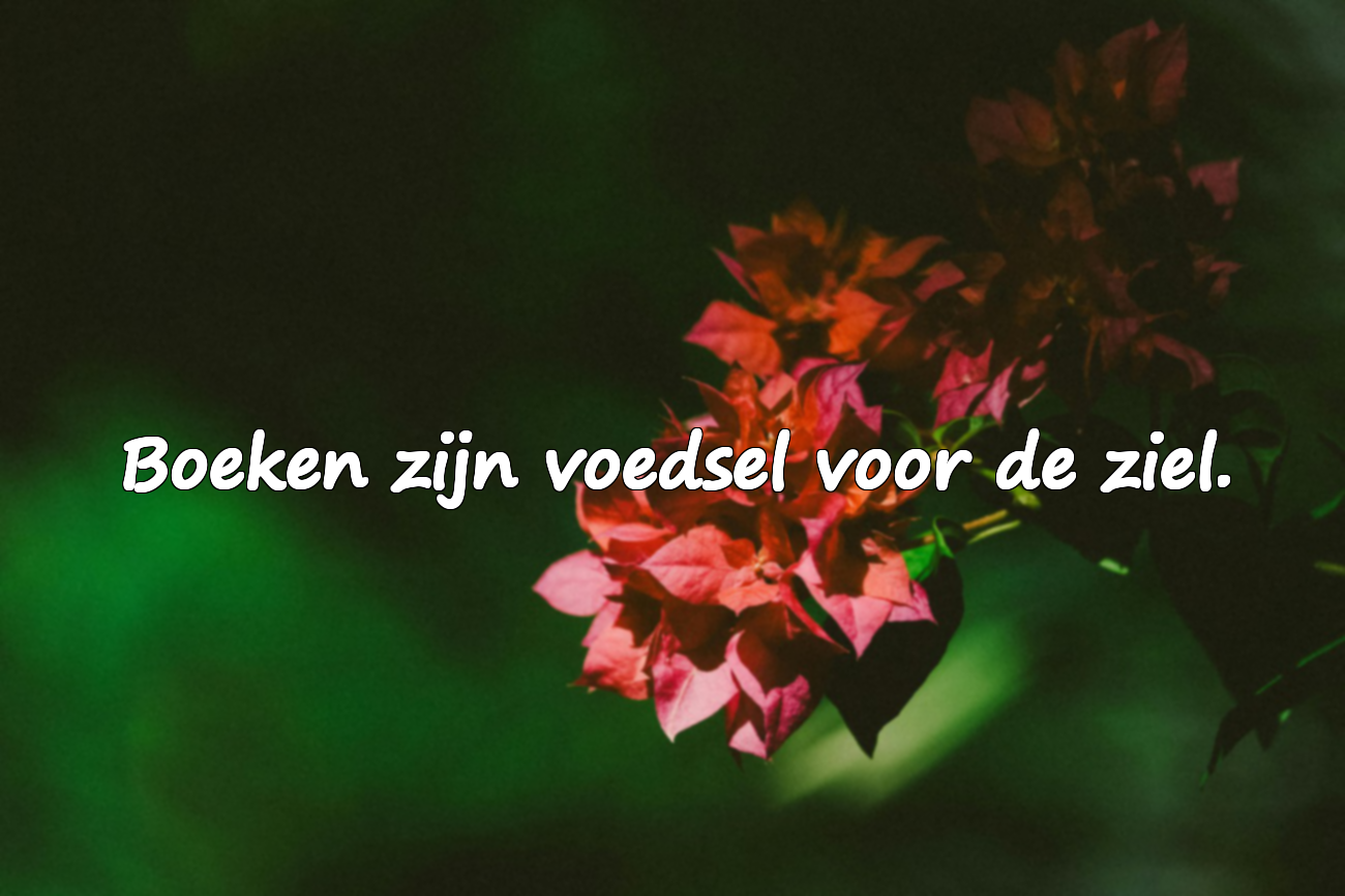 Citaten over literatuur