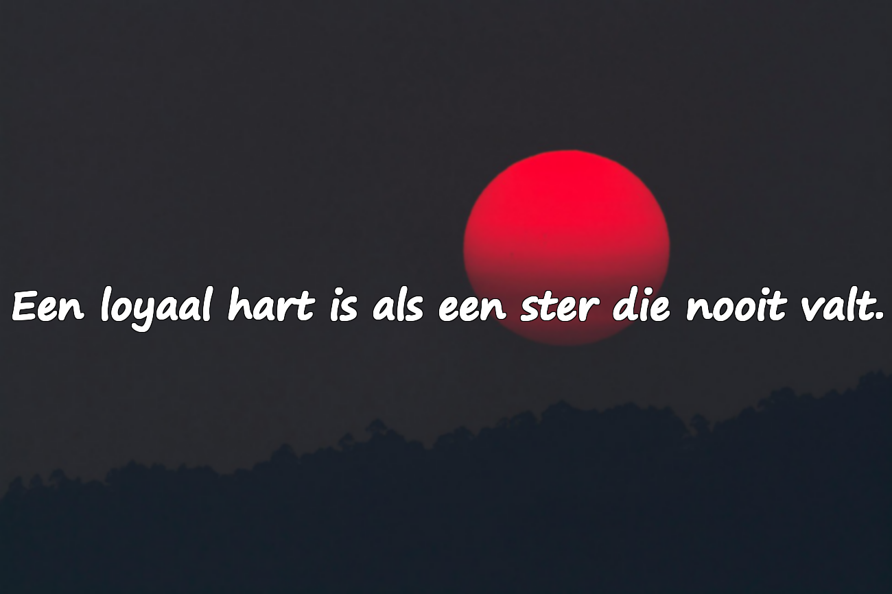 Citaten over loyaliteit