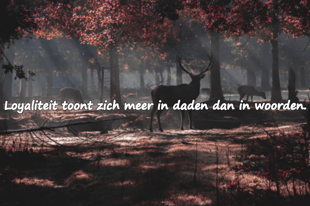 Citaten over loyaliteit