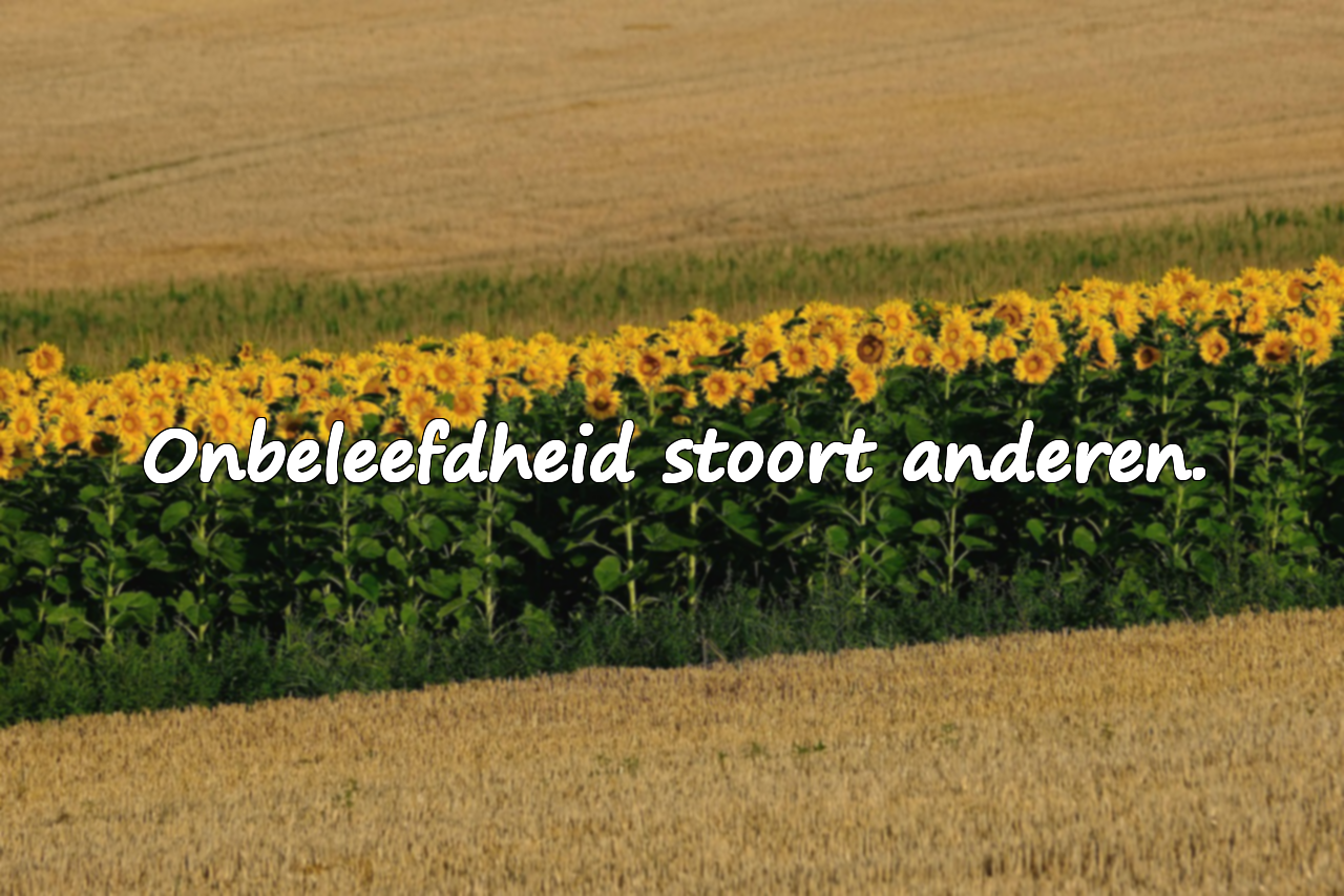 Citaten over onbeleefdheid