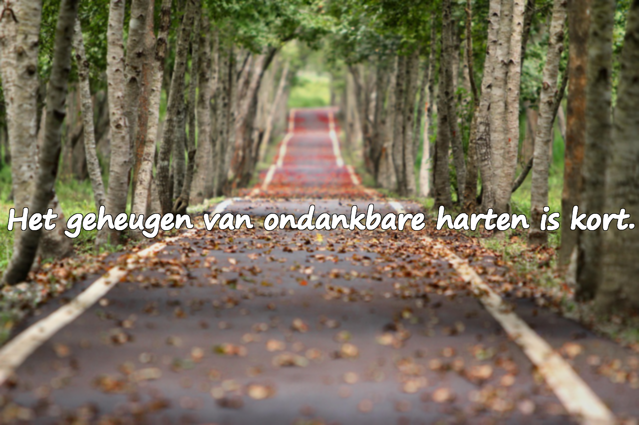 Citaten over ondankbaarheid
