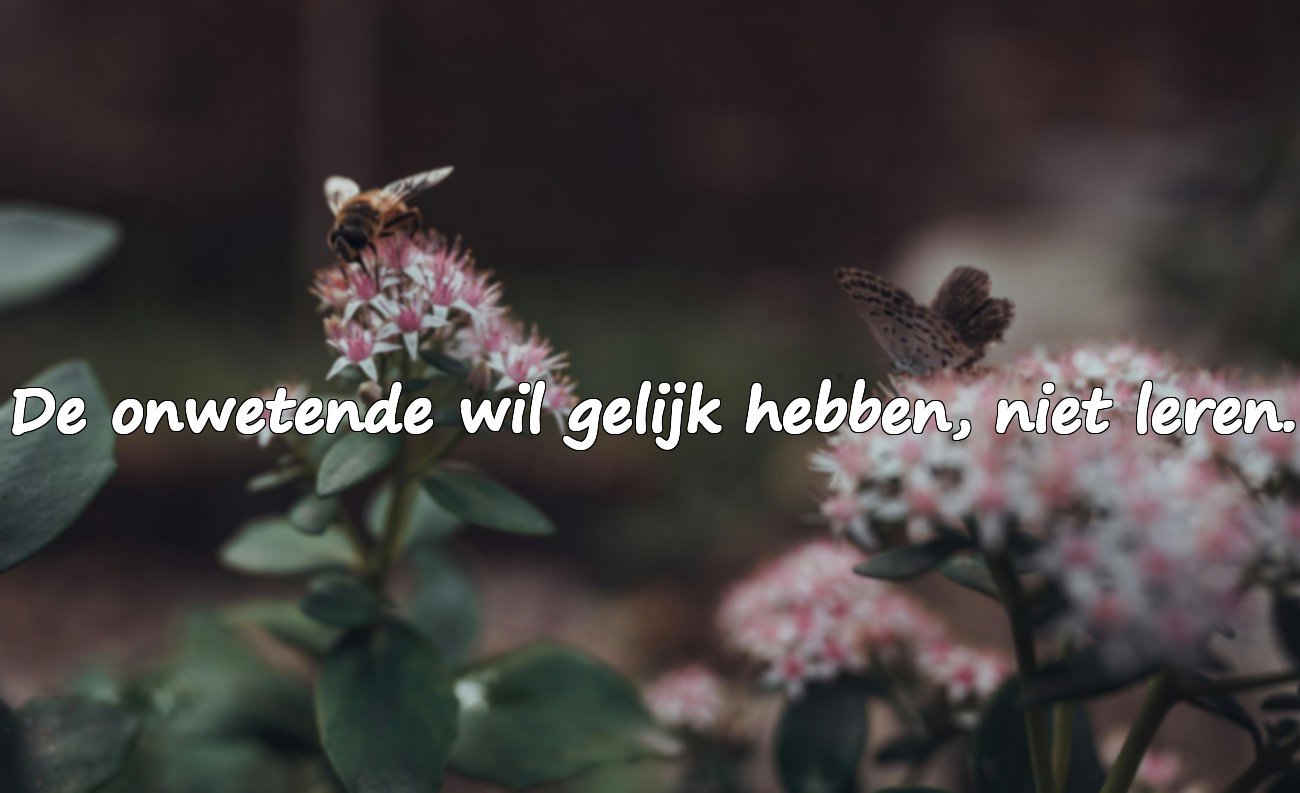 Citaten over onwetendheid