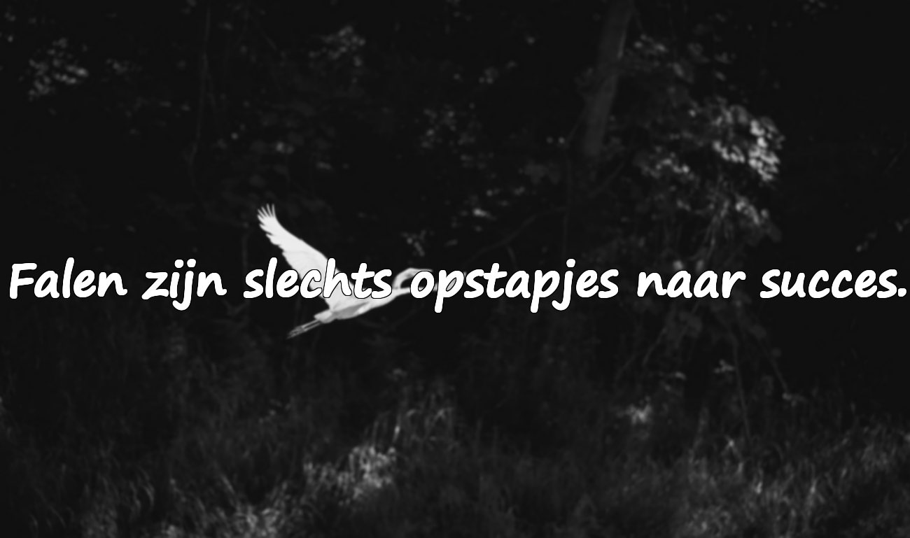 Citaten over persoonlijke ontwikkeling