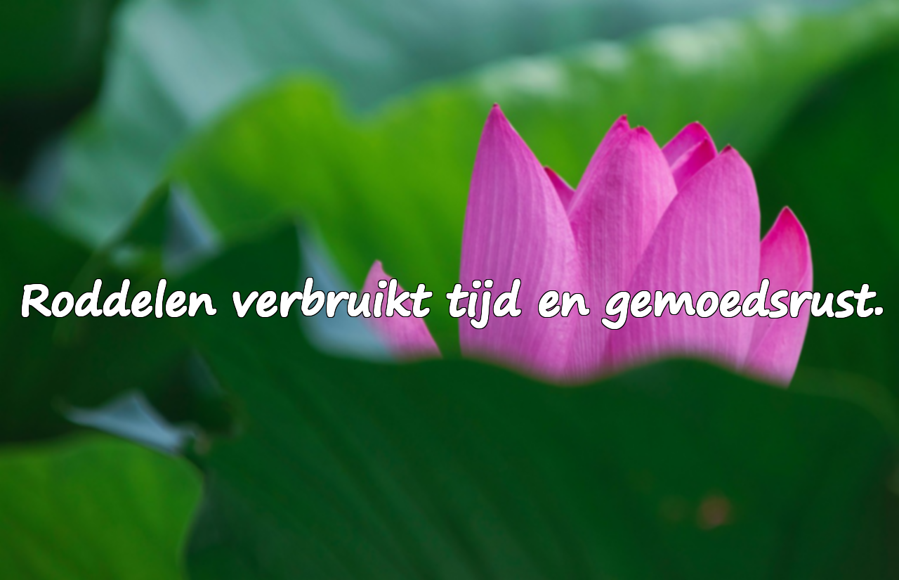 Citaten over roddel
