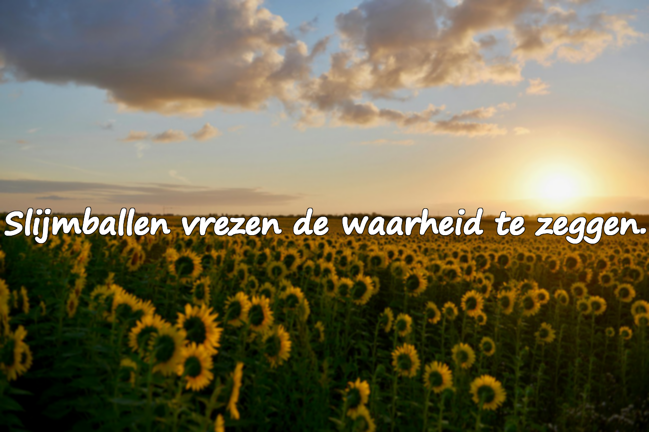 Citaten over slijmballen