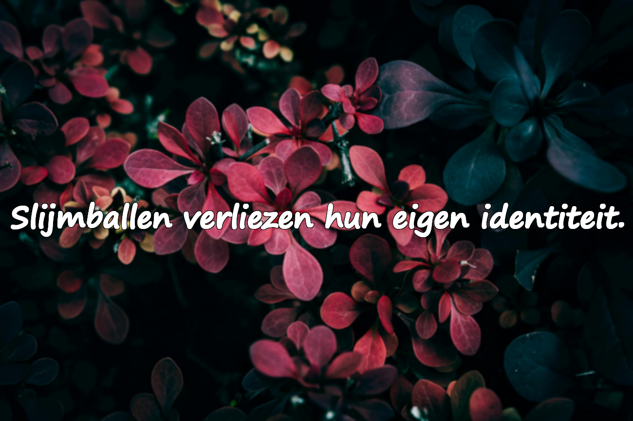 Citaten over slijmballen