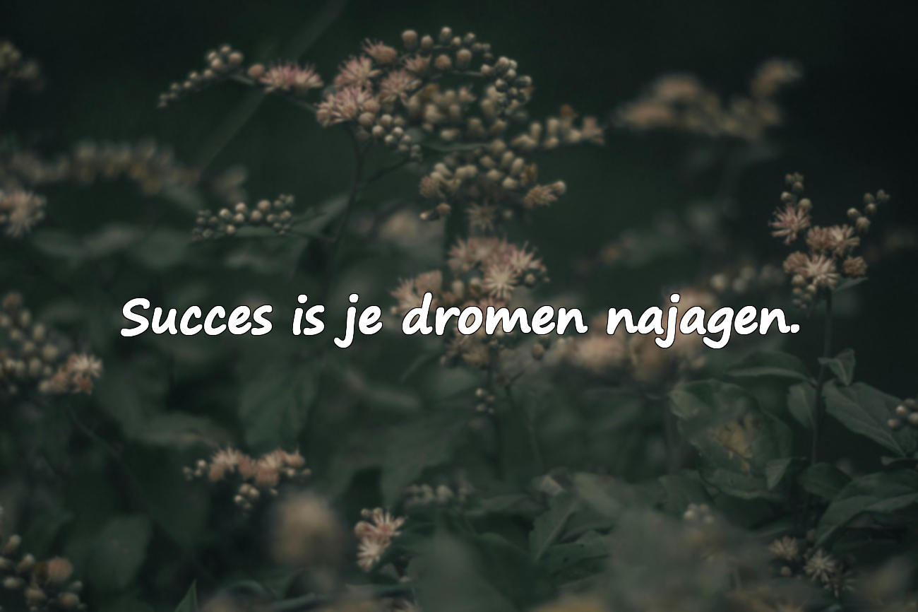 Citaten over succes